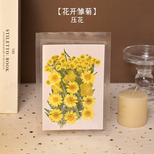 diy造纸术古法干花材料餐桌花艺