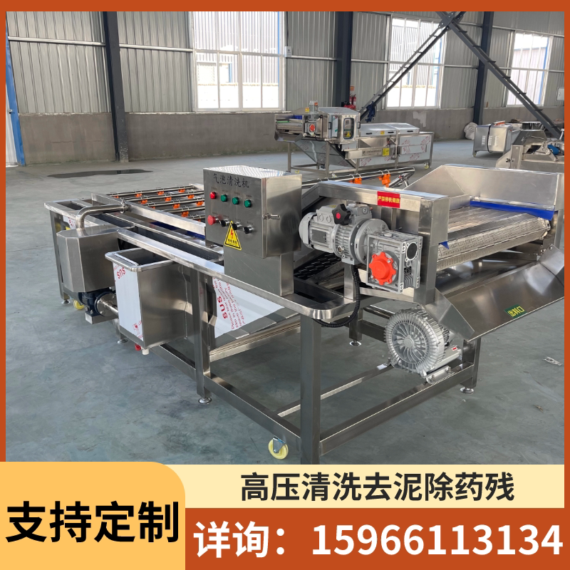 花生土豆清洗去泥净菜流水线商用果蔬气泡清洗机酸笋海带脱盐设备