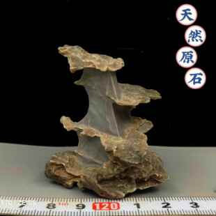11 小风凌石 多款可选天然奇石摆件微景观盆景鱼缸配景（满50
