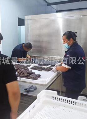 一吨态流生化速冻机 蔬菜水果速冻机 单59冻机厂家 景宏产机械