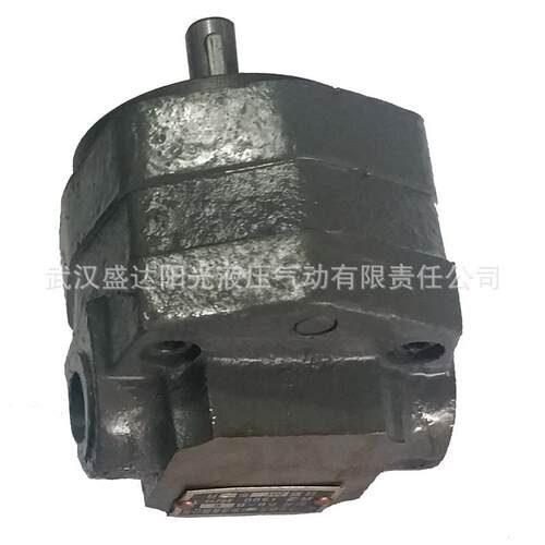 佳宇BB-B16B西安BB-BBB6-20/B25摆线齿轮油泵B内啮1合滤油车润滑