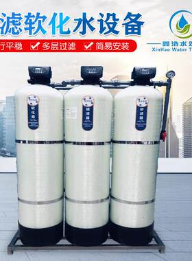 大型工业锅炉软化水设备洗浴洗衣房全自动软水机地下水过滤器