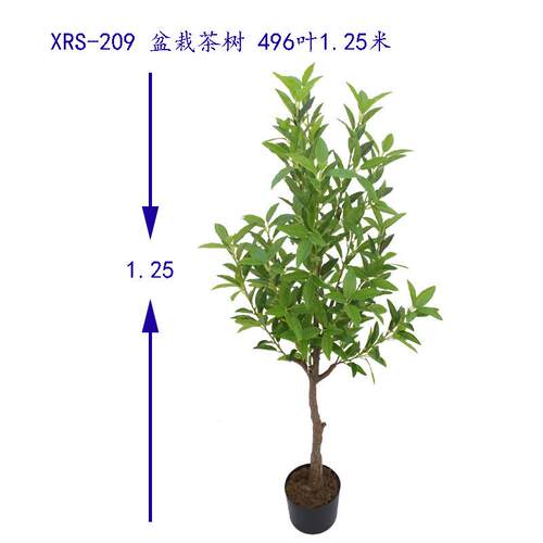仿真物树 绿植植迷你小盆栽5号茶盆栽茶叶209 园客厅装饰茶厂家