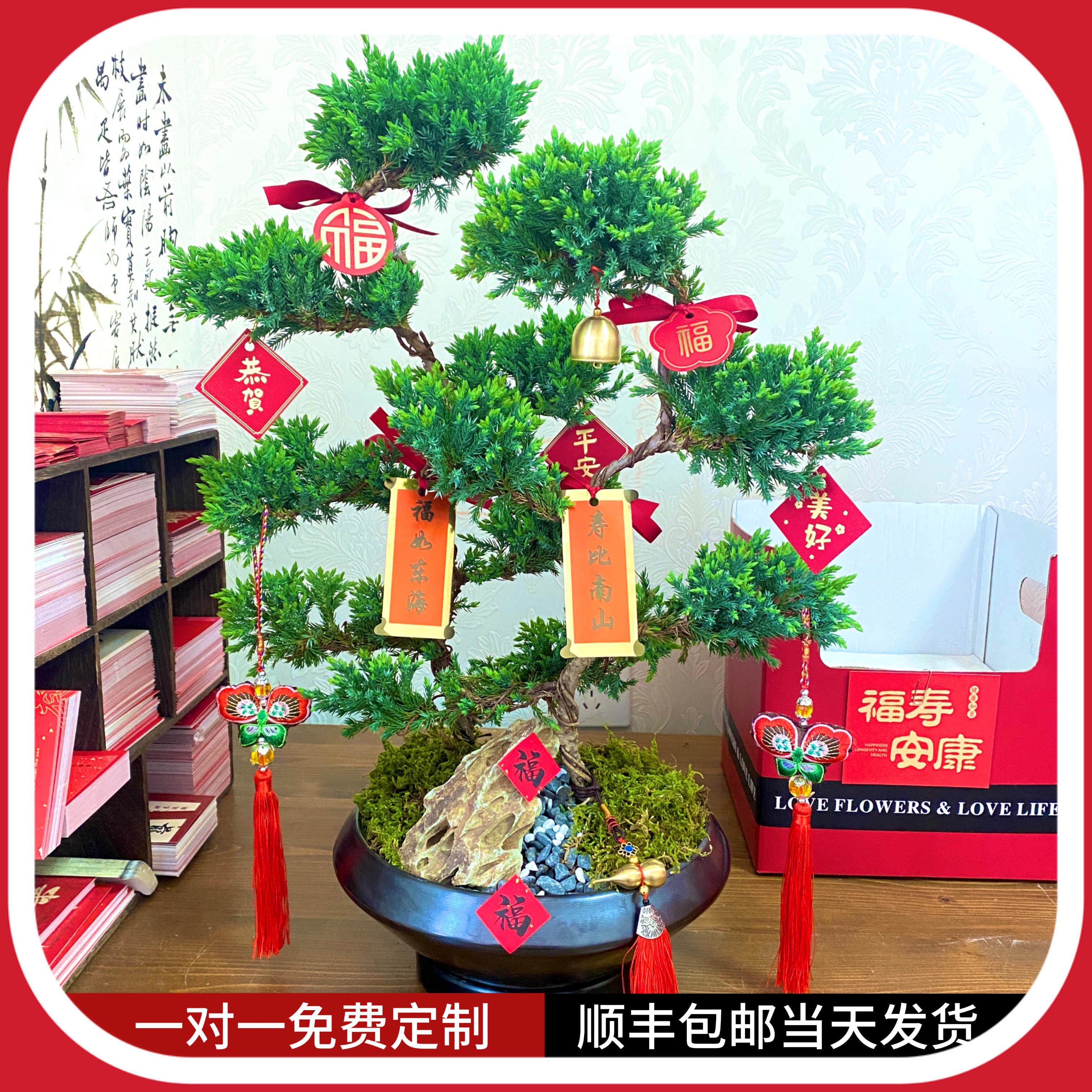 松鹤延年不老松五层塔松盆栽寿礼老人生日祝寿礼物大寿盆景绿植