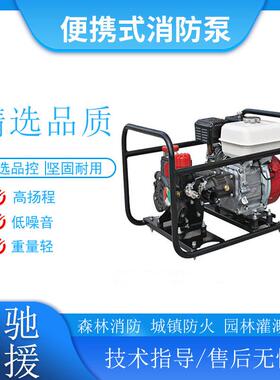 LYSP-403森林消防泵大流量压隔膜泵远距离灭火自吸水泵