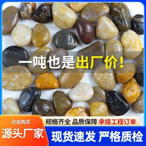 五彩精抛雨花石鹅卵石 工程铺路园林花园鱼缸造景装饰原石雨花石