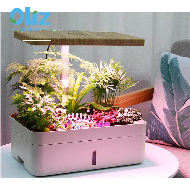 若澜园艺植BAB谱智能创生意水果蔬菜水培种机全光植物长灯微景观