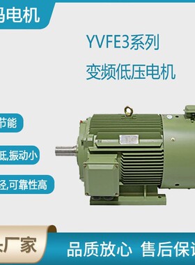 西安泰富电机YVFE-0.75KW-500KW低压变频交流三相异步电动机