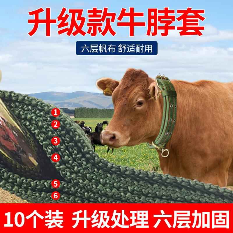 牛脖子套牛用品大全栓牛拴牛脖套牛项圈牛脖圈套牛牛脖套