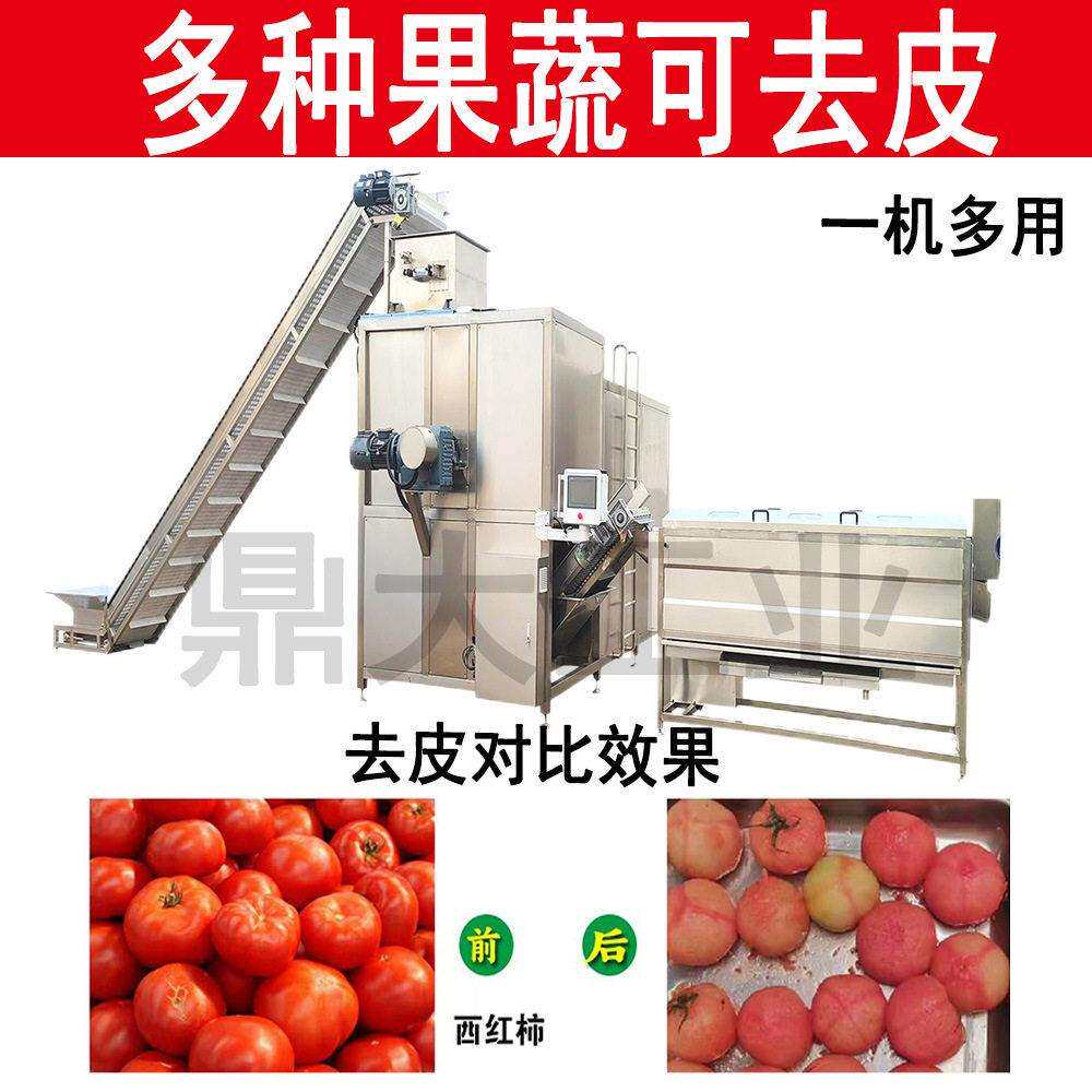 洋柿子毛桃蒸汽去皮机水蜜桃西红