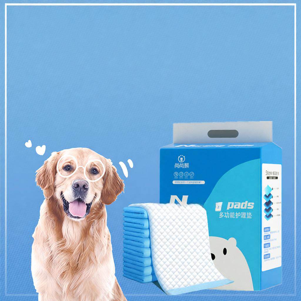 狗狗尿垫宠物尿片加厚吸水一次性猫咪仓鼠兔子通用大号