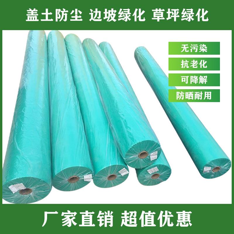 草籽草坪绿色化无纺布覆盖草籽无纺布土工盖土无纺布喷播护坡材料
