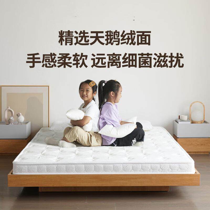 蓝思制造棕榈薄床垫乳胶1.5m榻榻米垫椰棕加硬席梦思偏硬护脊棕垫