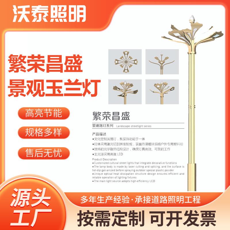 工厂热销3~12米八叉九火LED中华灯广场景观灯市政工程道路灯