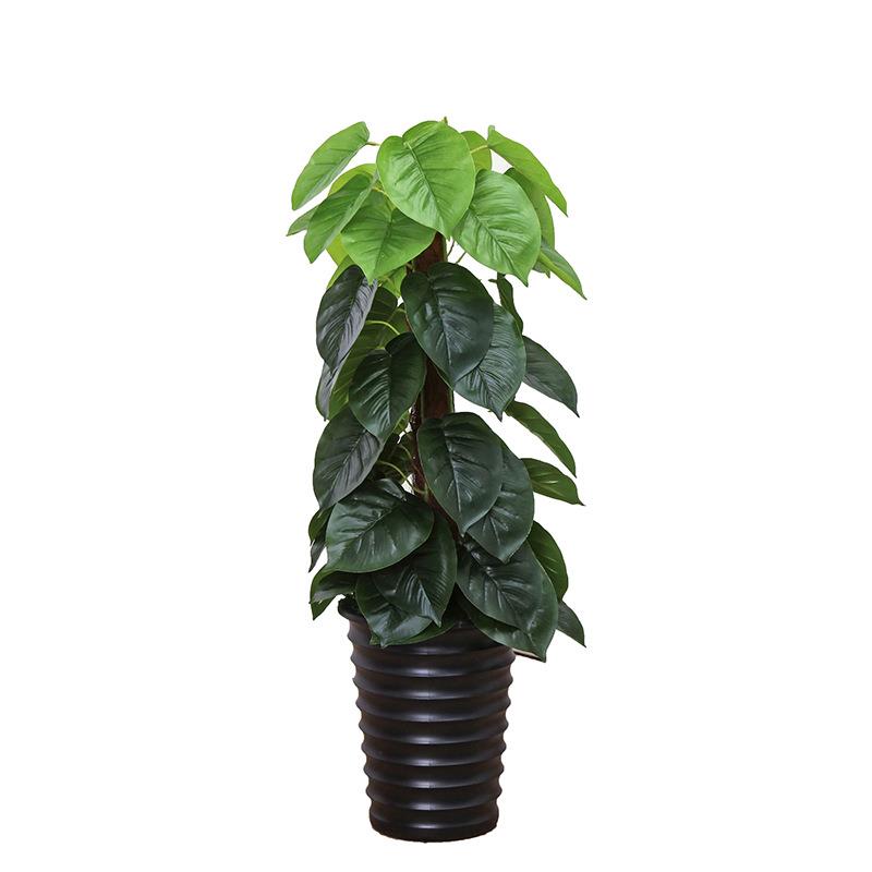 仿真树装饰塑料花绿植大型客厅落地盆景室内盆栽滴水观音绿萝假树