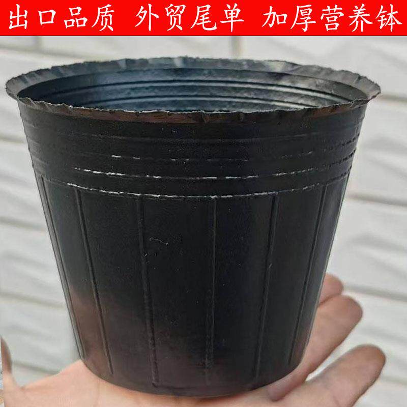 营养钵花盆树苗塑料加厚育苗杯营养杯防老化优质塑料育苗盆黑大号