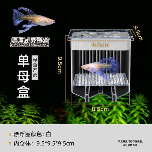 水族孔雀生鱼漂浮鱼缸躲避屋繁殖鱼窝盒板热带鱼专用小鱼苗收纳