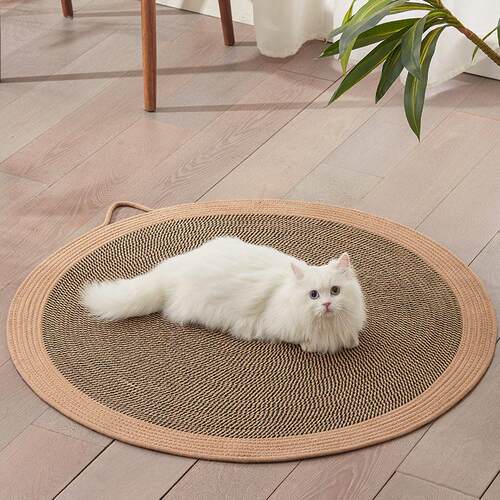 Sleeping in summer with a cat mat cat scratching board