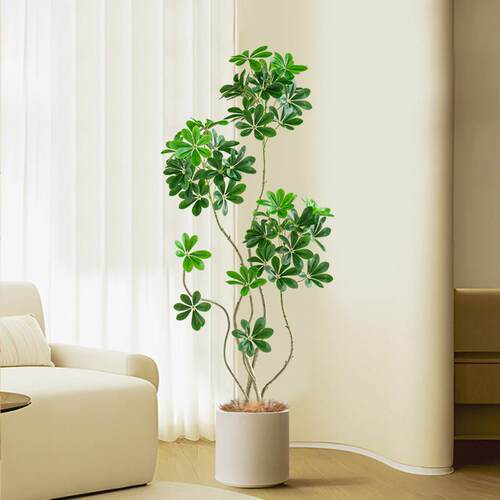 鸭脚木彷真绿色植物盆栽大型室内客厅高端轻奢彷生植物沙发旁落地