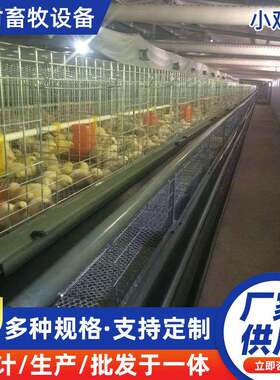 小鸡笼鸡用育雏小鸡笼雏鸡笼四层育雏鸡笼一体式立式小鸡脱温笼