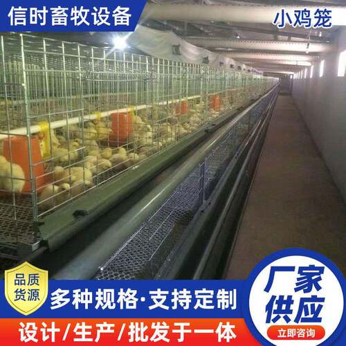 小鸡笼鸡用育雏小鸡笼雏鸡笼四层育雏鸡笼一体式立式小鸡脱温笼