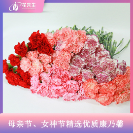 母亲节康乃馨鲜花百合花玫瑰向日葵花束包月广州云南直发同城速递