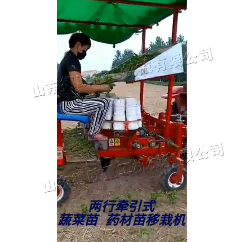 蔬果苗木移栽机块状种子瓜果苗栽植作业机器秧苗移栽机现货