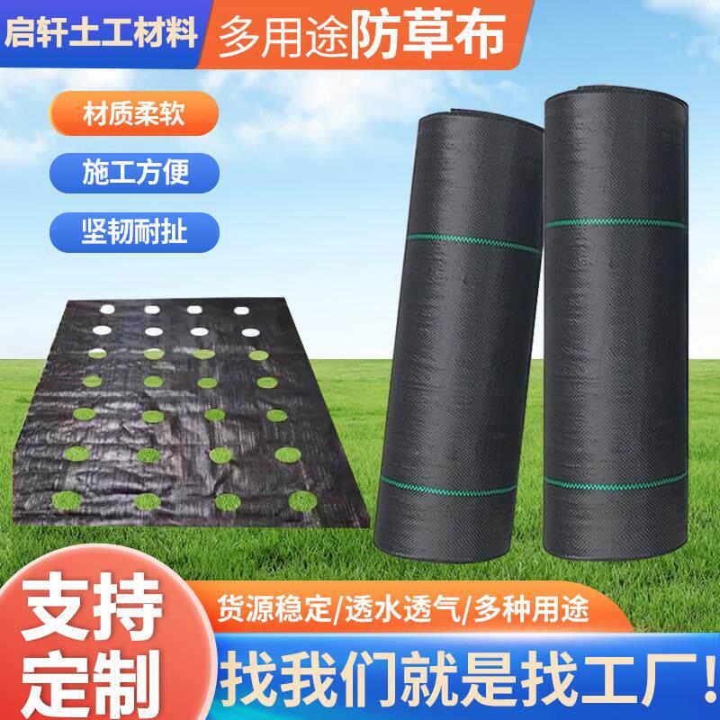 防草布除草布农用果园庭院盖草布地膜地布果树专用抗老化除草布