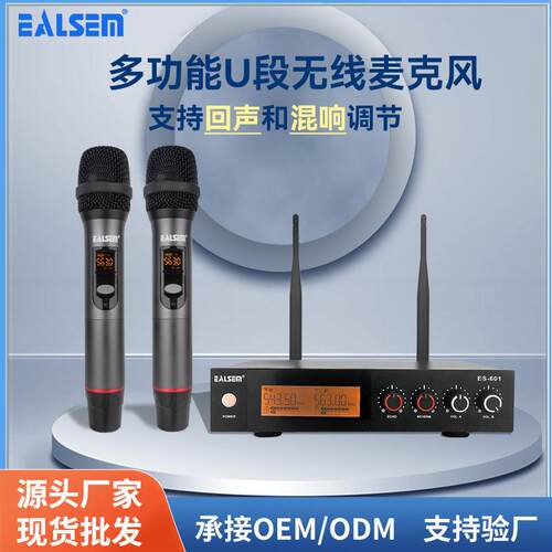 ES-601专业U段可调频一拖二麦克风话筒户外舞台演出家用唱歌ktv卡