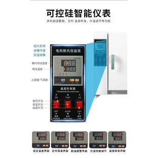 电热恒温鼓风干燥箱实验室小型烘箱食品烘干机工业高温烤箱烘干箱