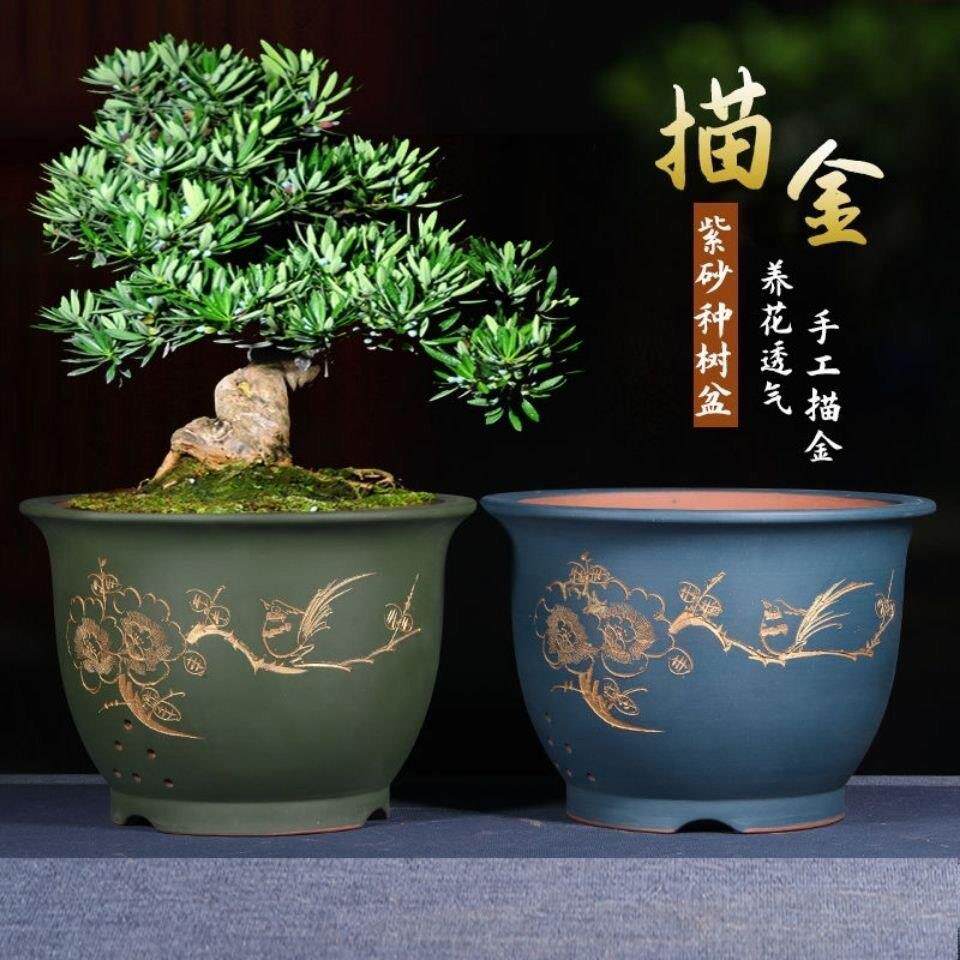 紫砂君子兰花盆陶瓷多肉花卉简约客厅宜兴正品特大号超值热卖