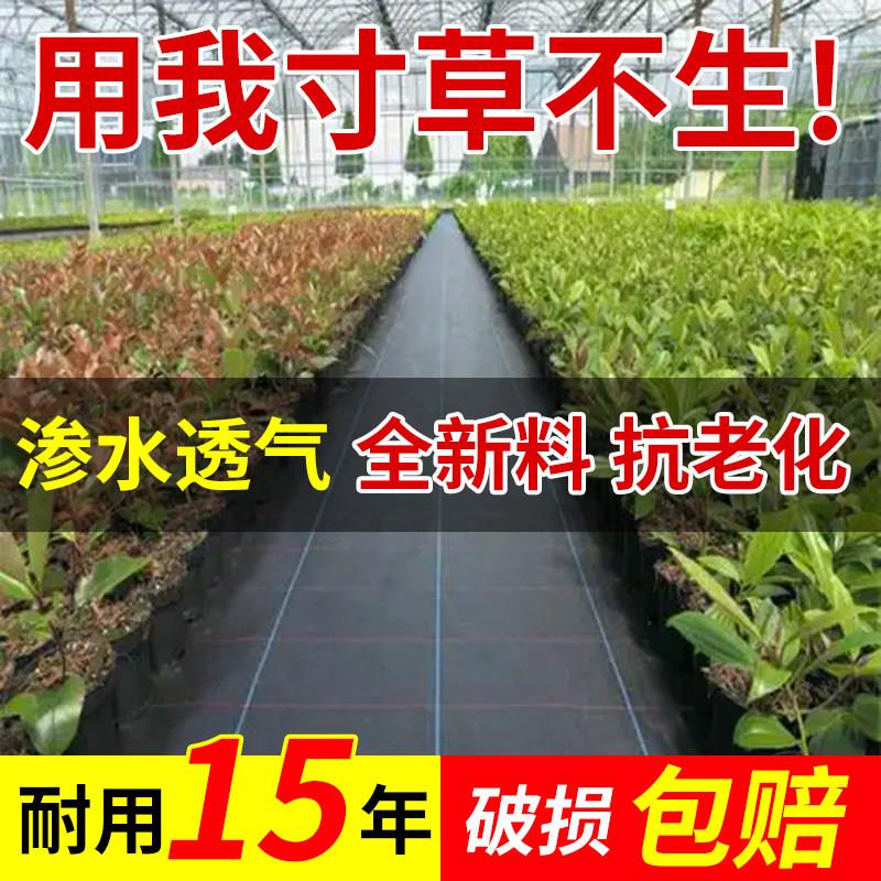 新型防草布除草布打孔切片耐用果园果树遮草盖草地布大棚黑地膜