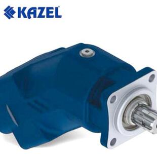 FEYZ80 L卡则尔KAZEL高压斜轴泵FEYZ65 L配件FEYZ45 L现货