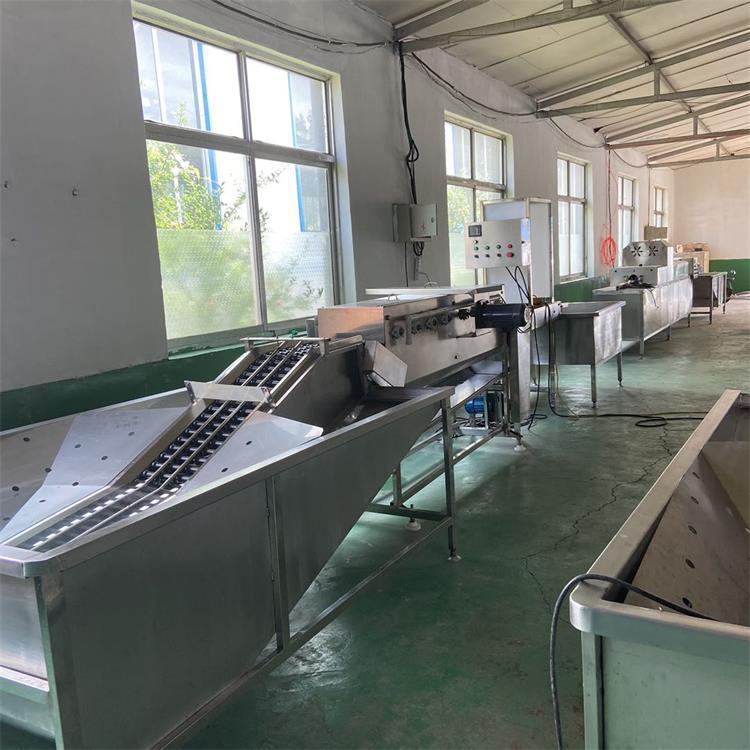 鲜鸡蛋快速清洗机 清洗蛋品表面污渍 商用型鸡蛋清洗流水线