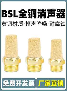 电磁阀长头全铜消声器BSL-M5 BSL-01 BSL-02 BSL-03 BSL-04/06