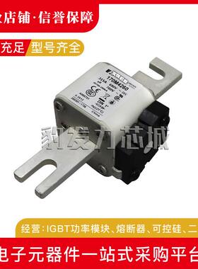 170M4214 170M4215 170M4216 170M4217 170M4218 170M4219熔断器