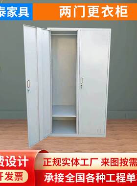 工厂2门更衣柜员工宿舍储物柜铁皮柜工厂宿舍两门更衣收纳柜