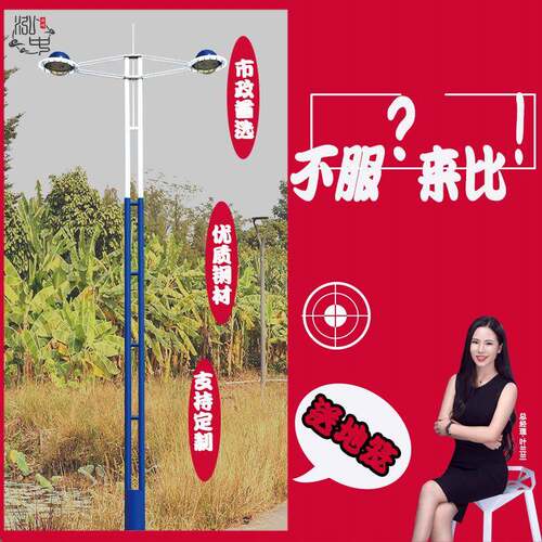 中山厂家100w200w市政道路照明10米led热镀锌高低双臂杆模组路灯