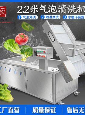 全自动不锈钢气泡清洗机 商用大型蔬菜水果清洗机净菜加工洗菜机