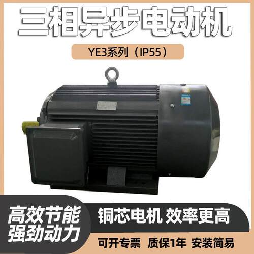 15千瓦三相异步电动机YE3YE4YE5纯铜线水泵风机配套380VF级电机