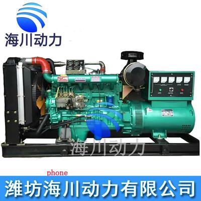 厂家供应250W柴油发电机312.5VA柴油发电机组