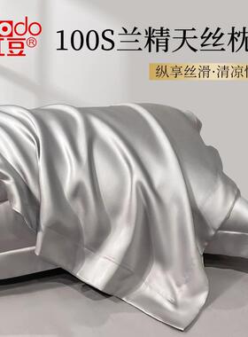 天丝夏季枕套家用真丝枕头套一对装冰丝枕头套48cmx74cm2026新款2