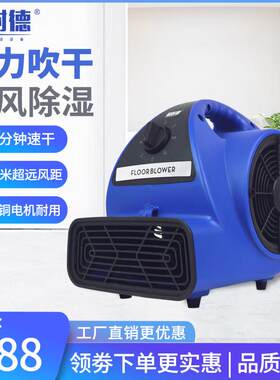 易耐德家用吹干机大功率静音冷吹风机地毯厕所地面地板除湿吹地机