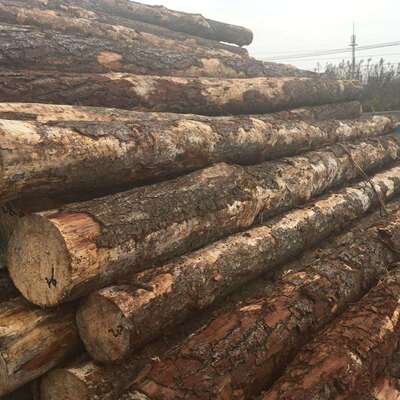 澳松原木木板河道护岸防汛松木桩工地打桩木澳松防腐实木木方
