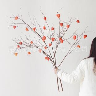 侘寂风轻奢家居装 饰酸浆果自然干枝 年宵花树枝灯笼果 狂想者