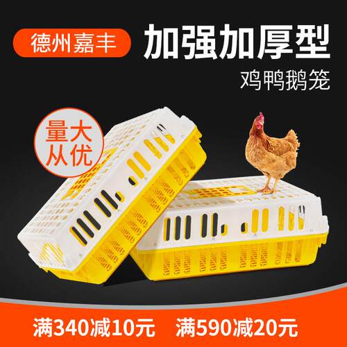 鸡笼周转箱塑料家禽运输笼特大号成鸡鸭鹅鸽子笼子家用兔笼养殖笼