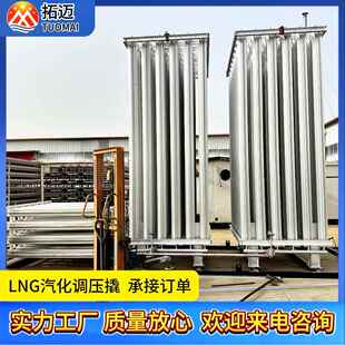 厂家直销天然气气化器气化撬LNG汽化器工业设备用汽化器空温式
