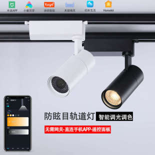 軌道燈 無(wú)極調(diào)光調(diào)色led導(dǎo)軌燈homekit高端店鋪展廳博物館智能明裝