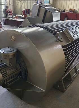 稀土永磁电机30w3000/1500转100hz电动机
