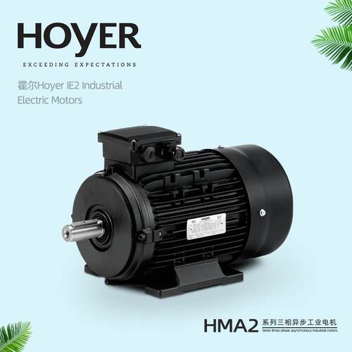 丹麦HOYERMOTOR霍尔电机IE1IE2IE3IE4现货三相异步铝壳电动机